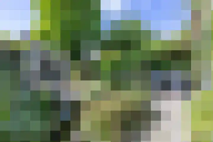 Laanweg 23 Oudkarspel thumbnail 19