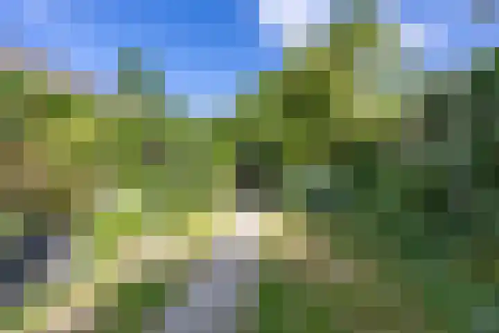 Laanweg 23 Oudkarspel thumbnail 20