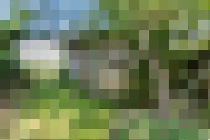Laanweg 23 Oudkarspel thumbnail 21