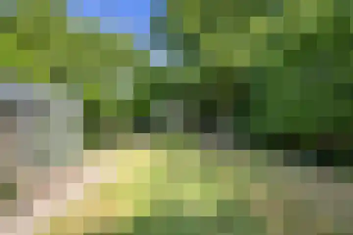 Laanweg 23 Oudkarspel thumbnail 24