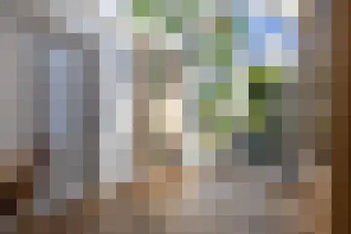 Laanweg 23 Oudkarspel thumbnail 4