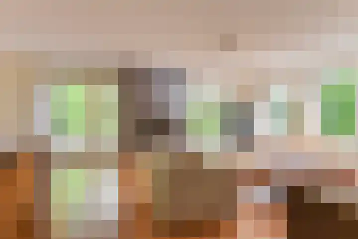 Laanweg 25 Schoorl thumbnail 10