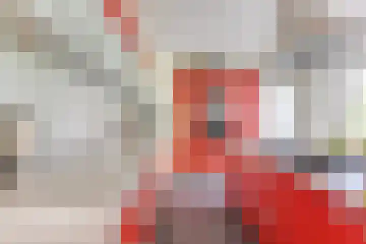Laanweg 25 Schoorl thumbnail 21