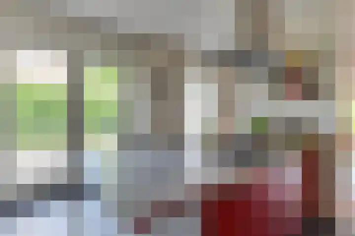 Laanweg 25 Schoorl thumbnail 24