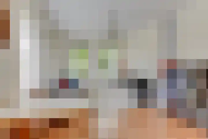 Laanweg 25 Schoorl thumbnail 29