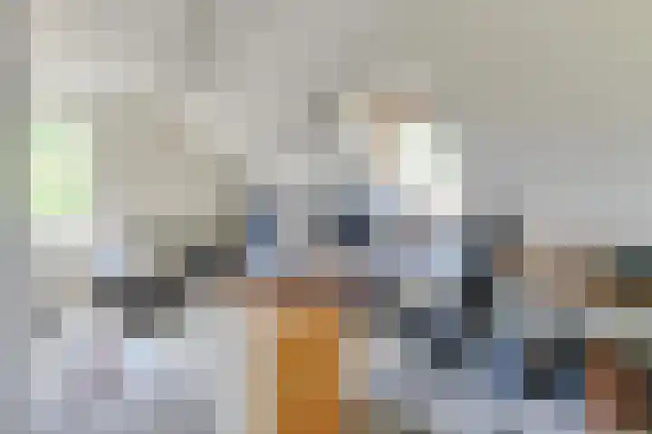 Laanweg 25 Schoorl thumbnail 35
