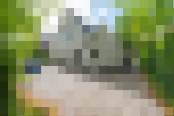 Laanweg 25 Schoorl thumbnail 4