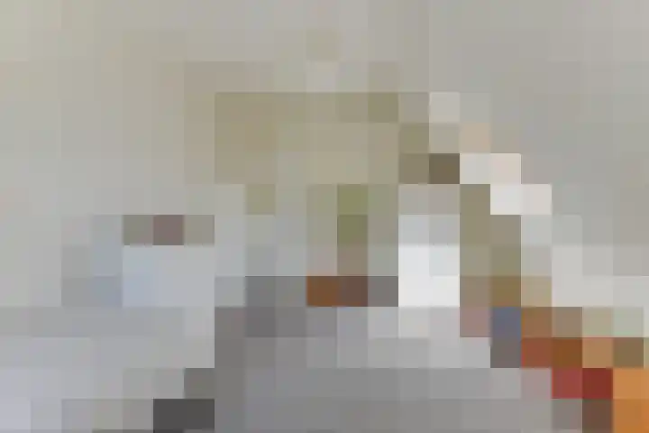 Laanweg 25 Schoorl thumbnail 40