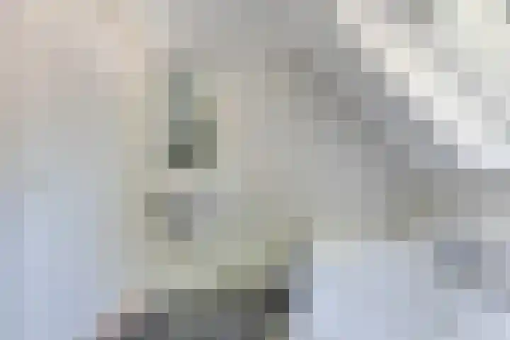 Laanweg 25 Schoorl thumbnail 42