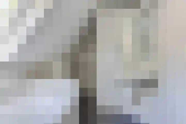 Laanweg 25 Schoorl thumbnail 43