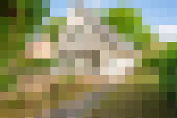 Laanweg 25 Schoorl thumbnail 5
