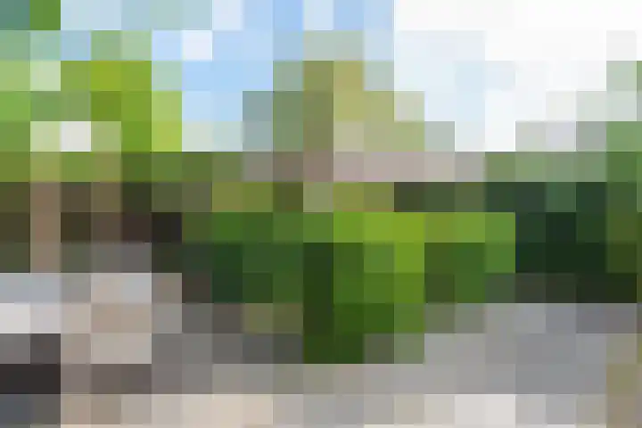 Laanweg 25 Schoorl thumbnail 59