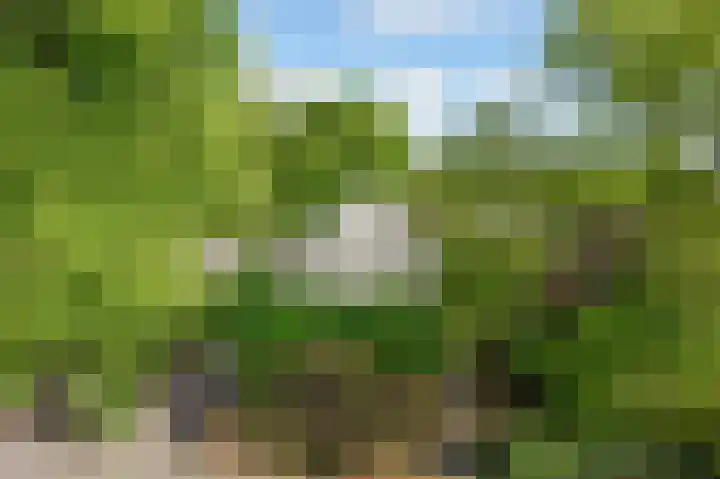 Laanweg 25 Schoorl thumbnail 6