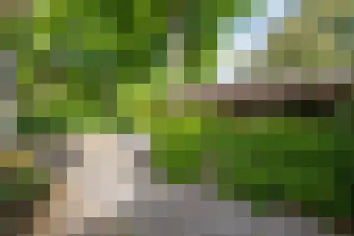 Laanweg 25 Schoorl thumbnail 60