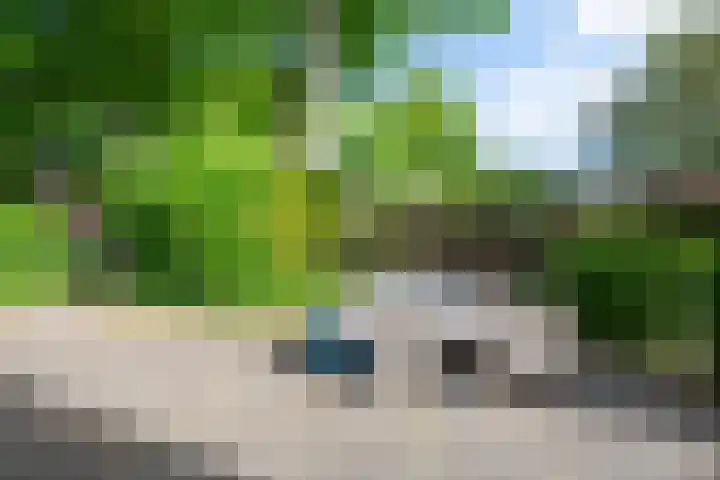Laanweg 25 Schoorl thumbnail 61