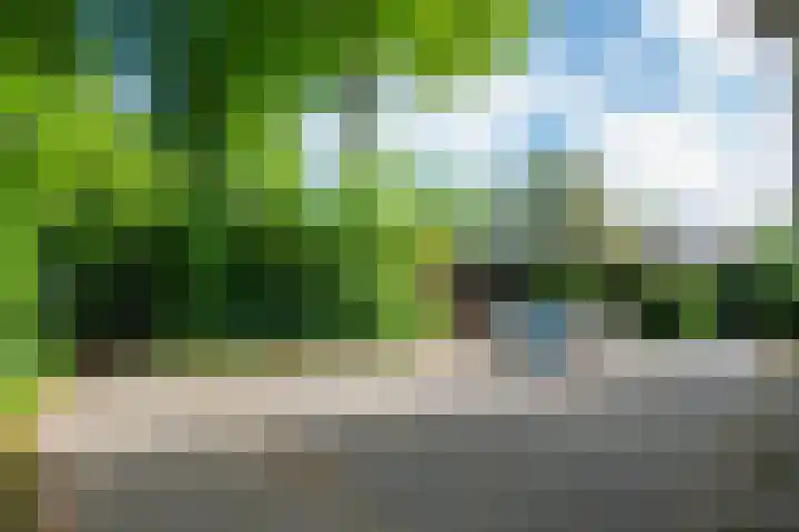 Laanweg 25 Schoorl thumbnail 62