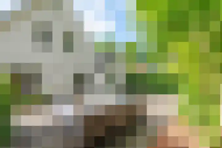 Laanweg 25 Schoorl thumbnail 64