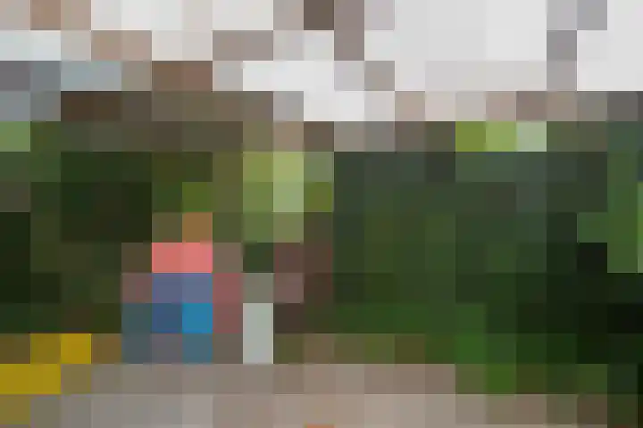 Laanweg 25 Schoorl thumbnail 65