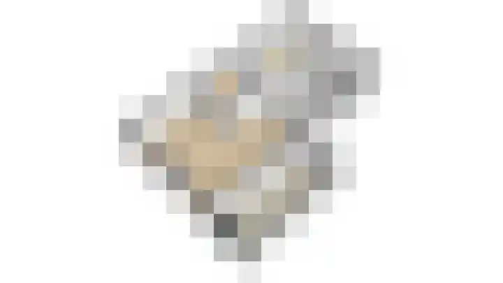 Laanweg 25 Schoorl thumbnail 70