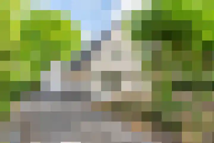 Laanweg 25 Schoorl thumbnail 76