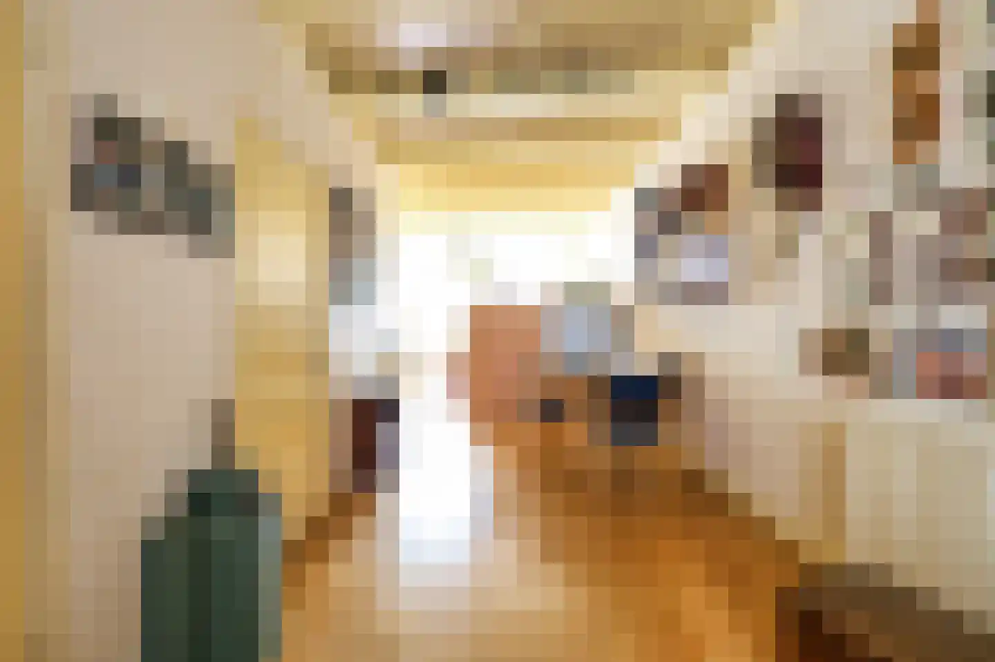 Laanweg 33 Schoorl thumbnail 10