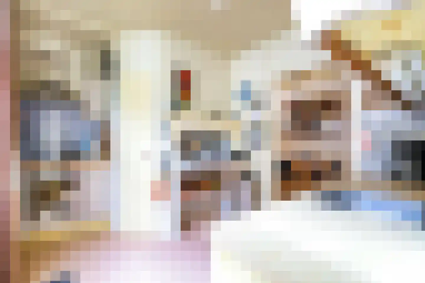 Laanweg 33 Schoorl thumbnail 13