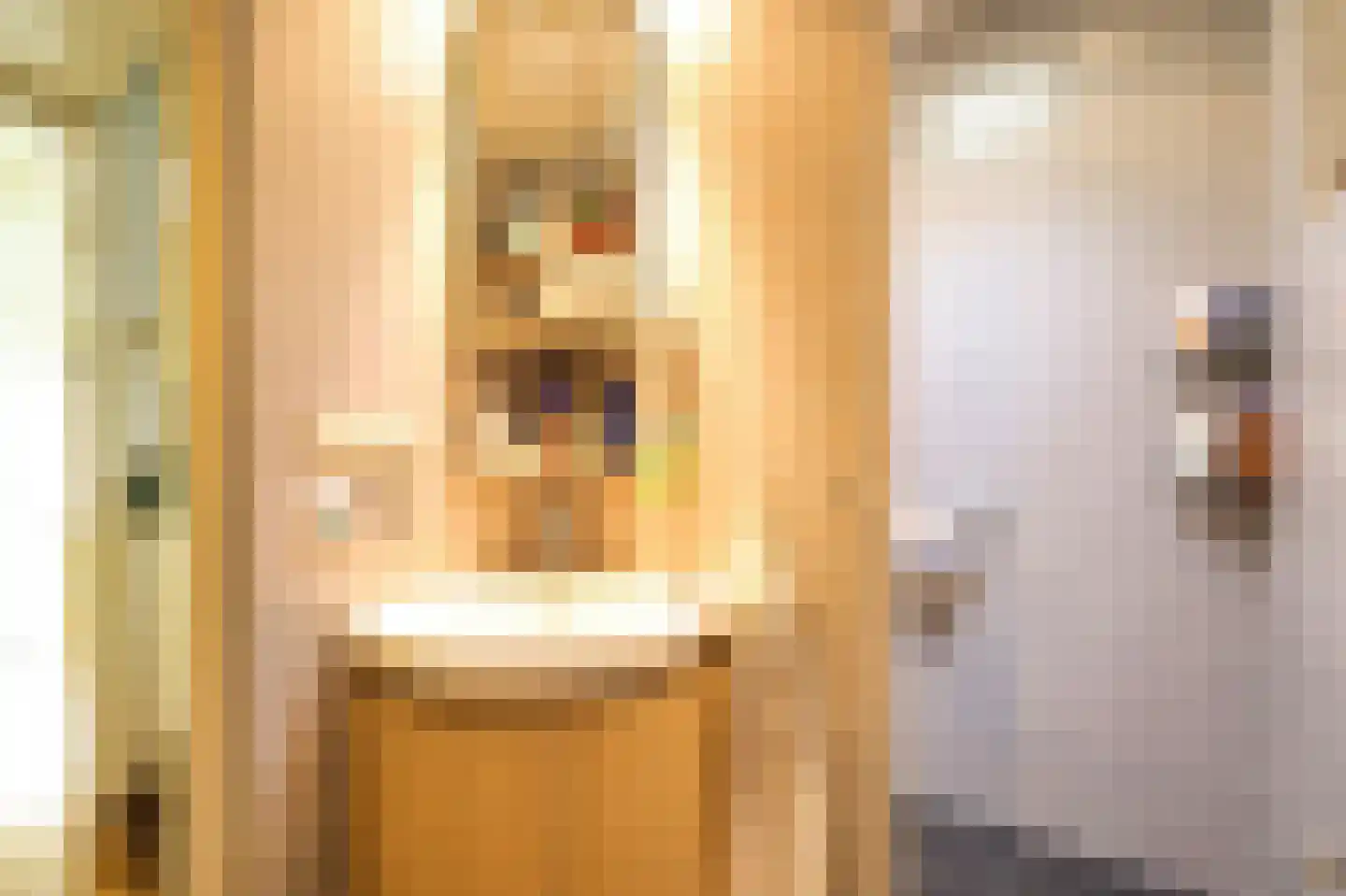 Laanweg 33 Schoorl thumbnail 16