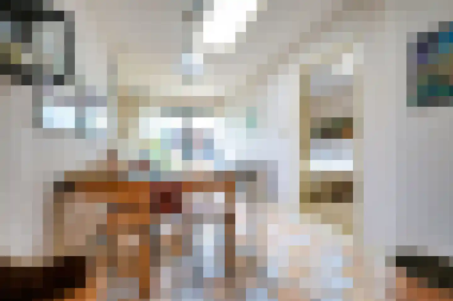 Laanweg 33 Schoorl thumbnail 17