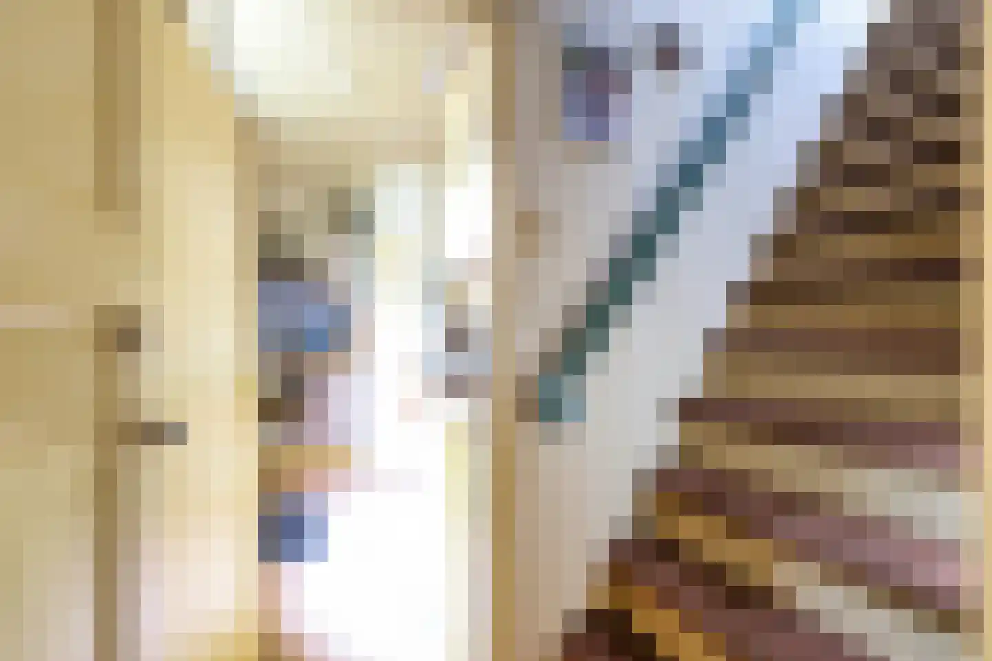 Laanweg 33 Schoorl thumbnail 22