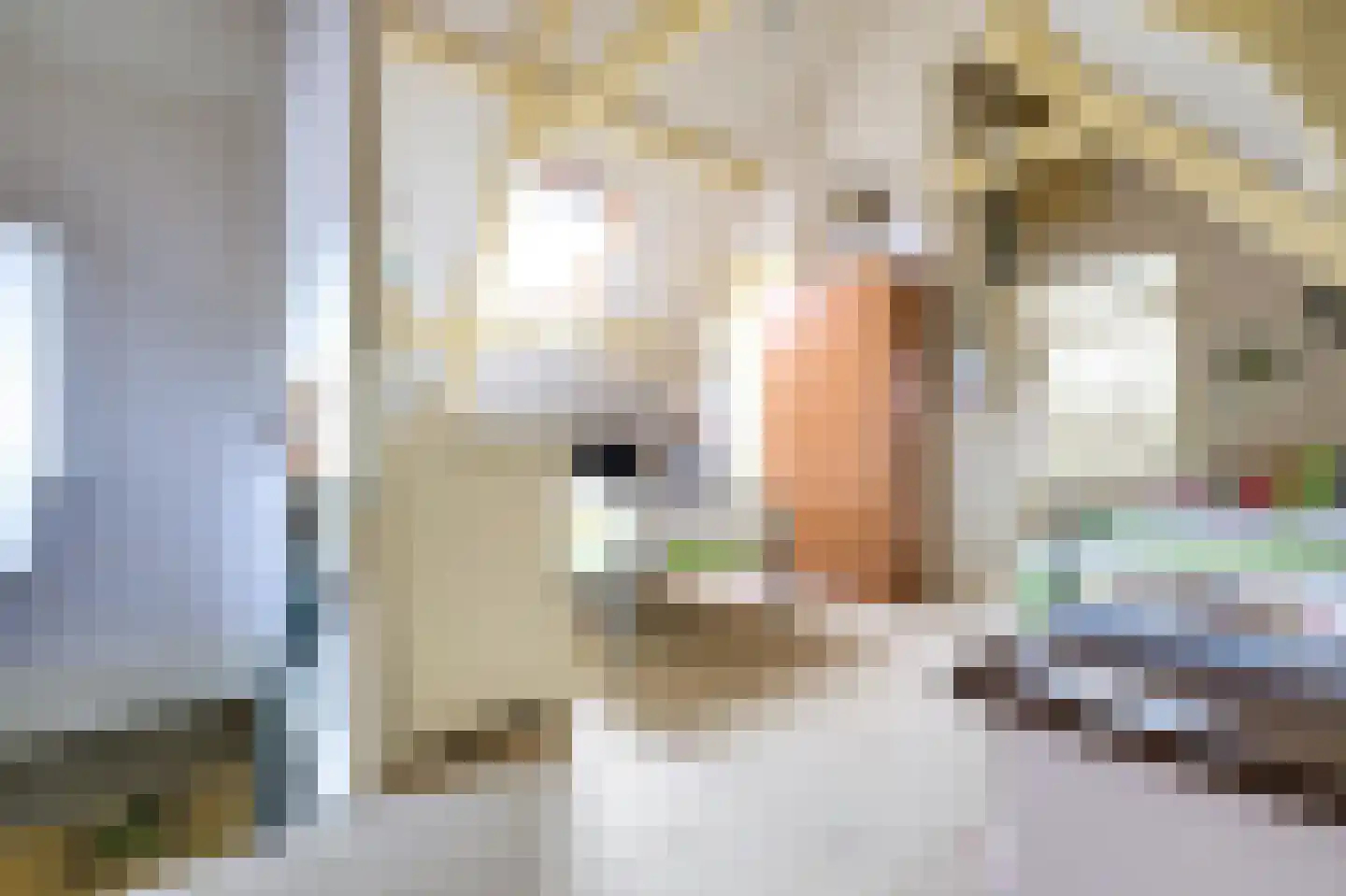 Laanweg 33 Schoorl thumbnail 23