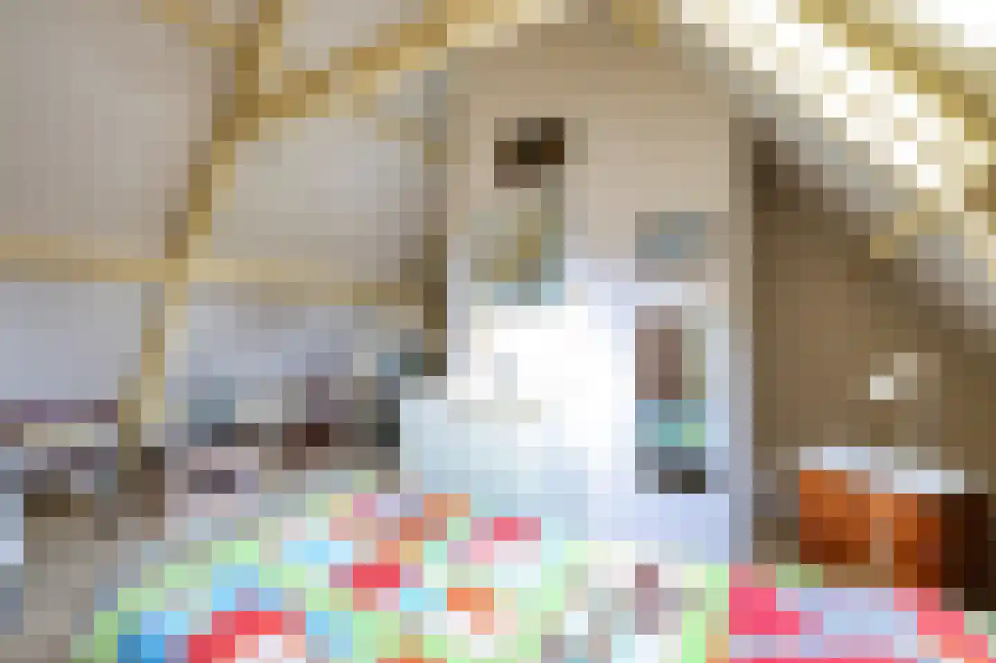 Laanweg 33 Schoorl thumbnail 24