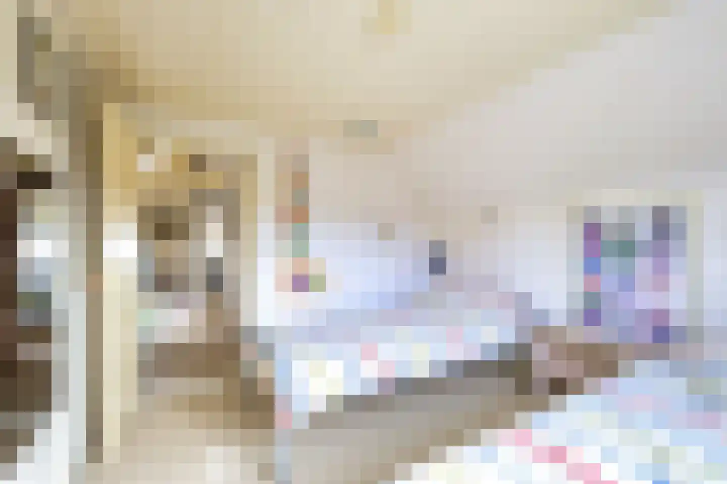 Laanweg 33 Schoorl thumbnail 26
