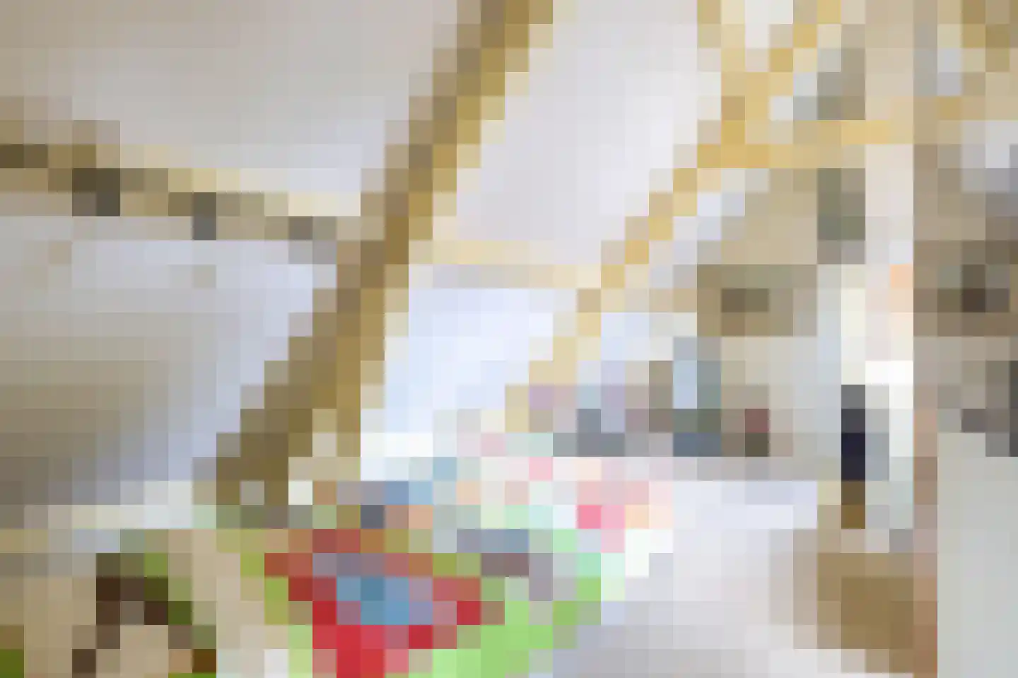 Laanweg 33 Schoorl thumbnail 27