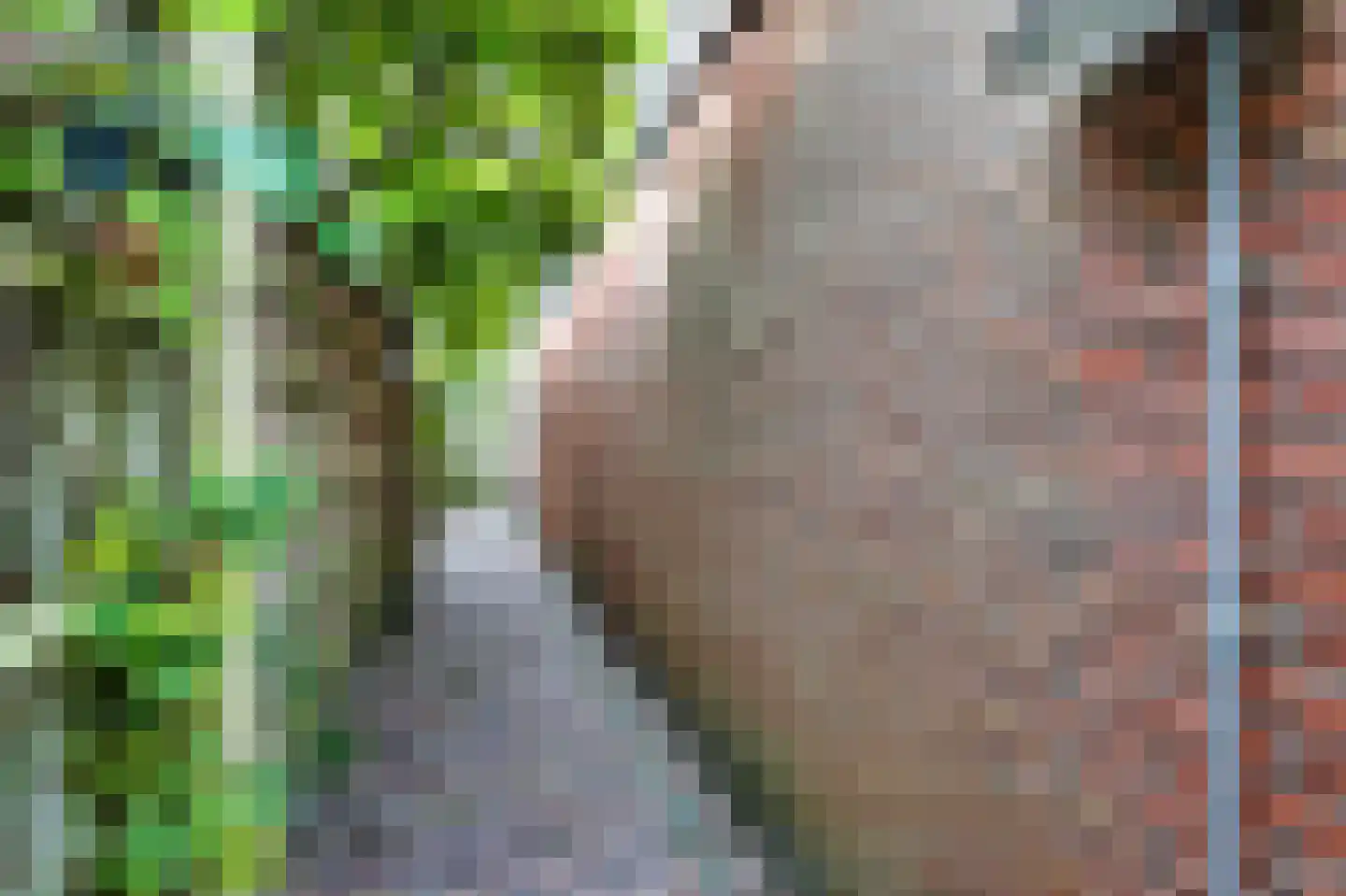 Laanweg 33 Schoorl thumbnail 36