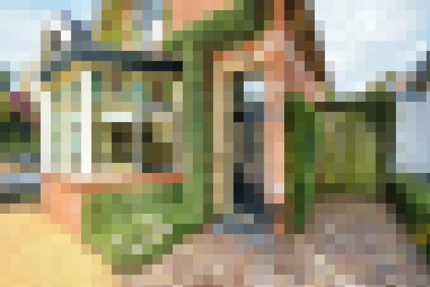 Laanweg 33 Schoorl thumbnail 4