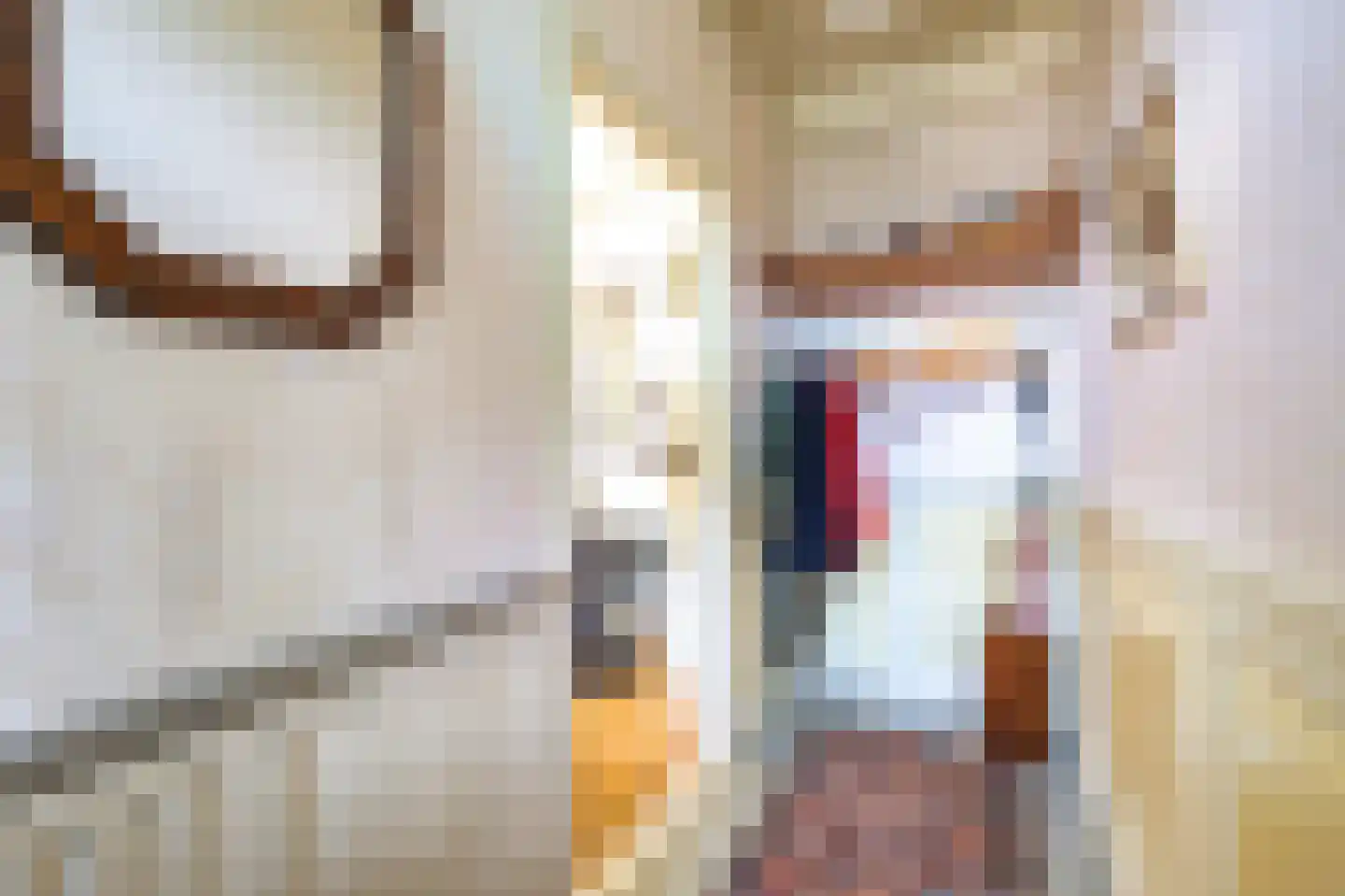 Laanweg 33 Schoorl thumbnail 5