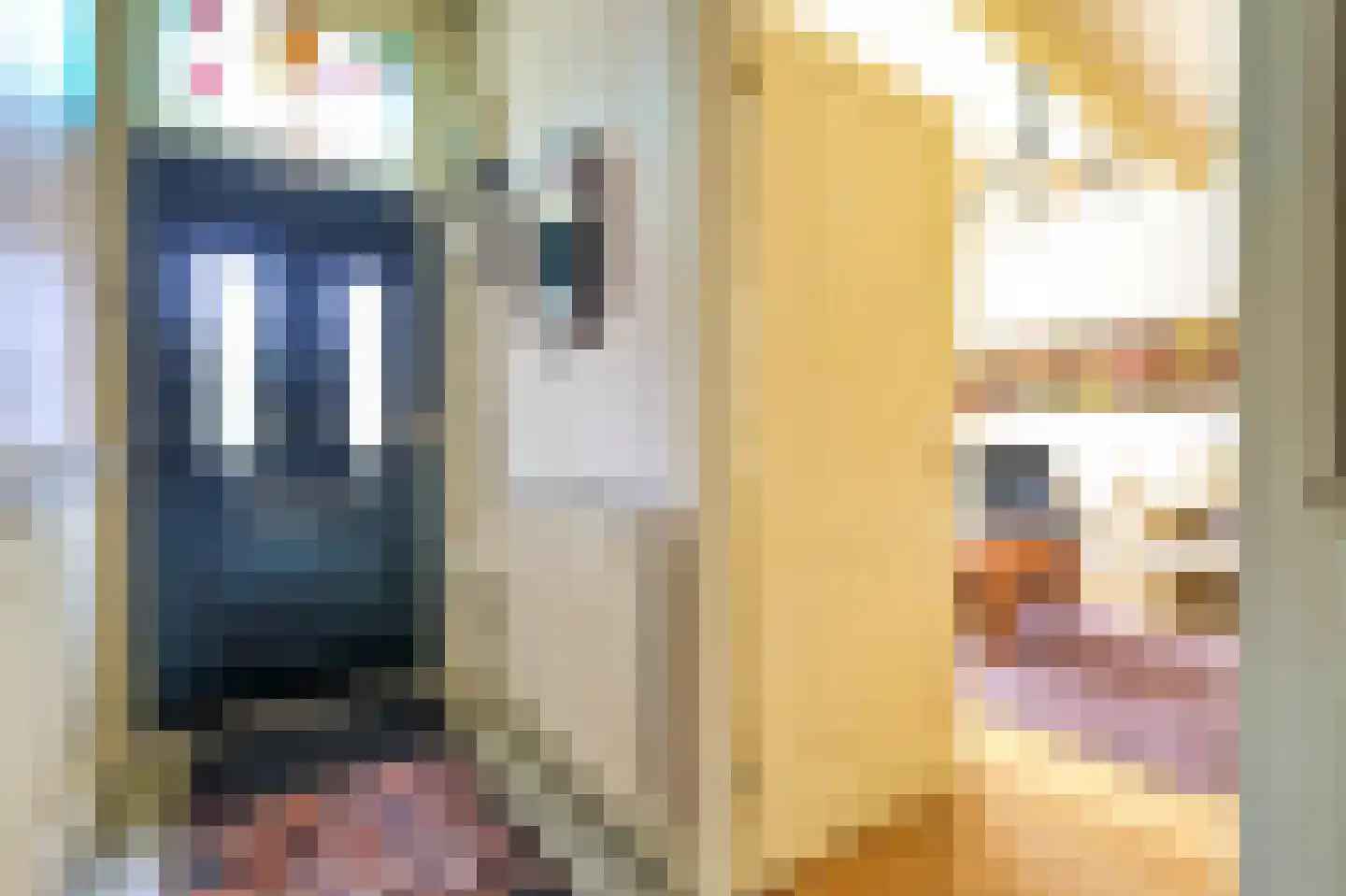 Laanweg 33 Schoorl thumbnail 6