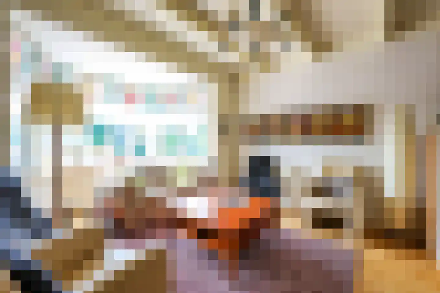 Laanweg 33 Schoorl thumbnail 7