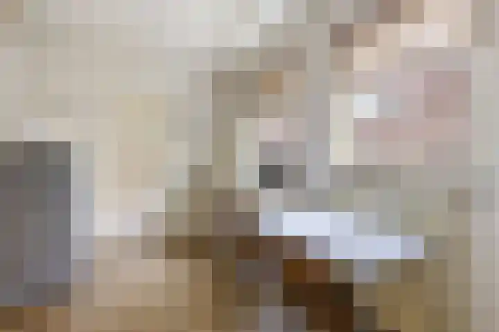 Laanweg 34 Oudkarspel thumbnail 11