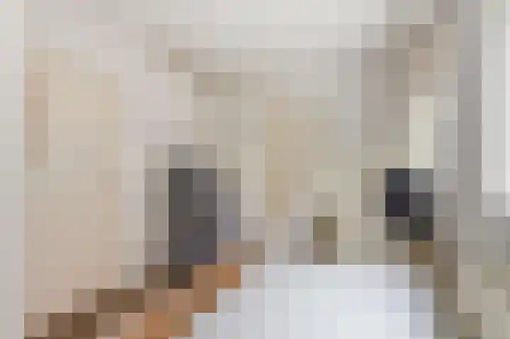 Laanweg 34 Oudkarspel thumbnail 13