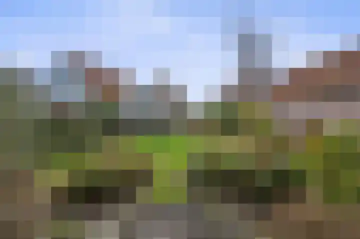 Laanweg 34 Oudkarspel thumbnail 27