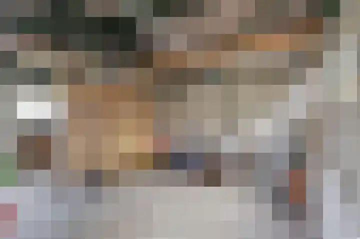 Laanweg 34 Oudkarspel thumbnail 32