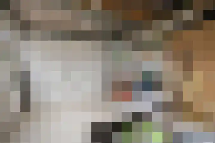 Laanweg 34 Oudkarspel thumbnail 33