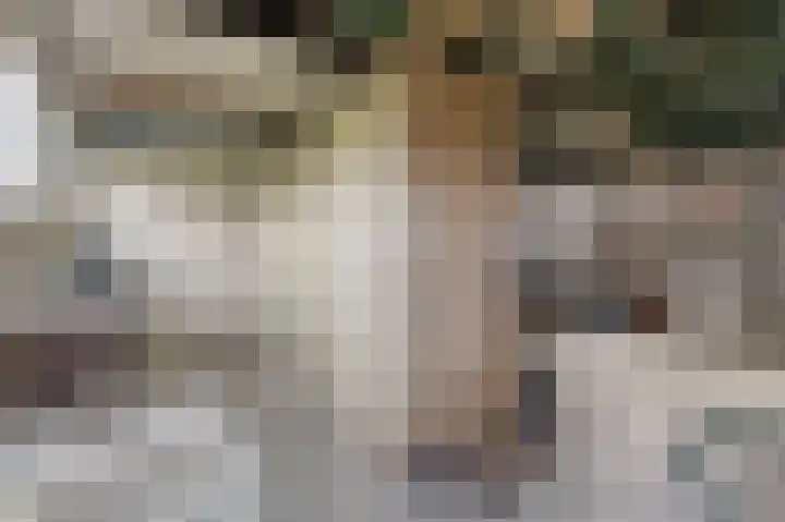 Laanweg 34 Oudkarspel thumbnail 34
