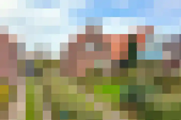 Laanweg 34 Oudkarspel thumbnail 36