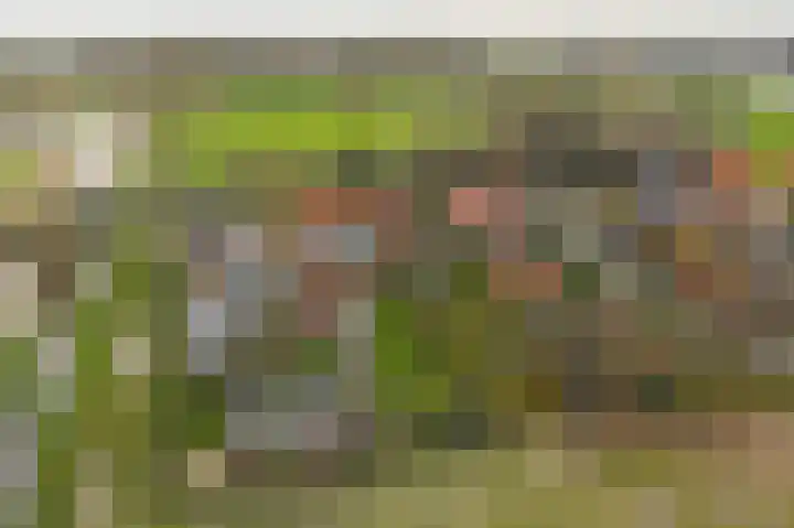Laanweg 34 Oudkarspel thumbnail 39