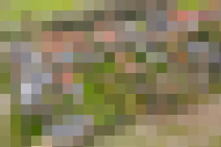 Laanweg 34 Oudkarspel thumbnail 40