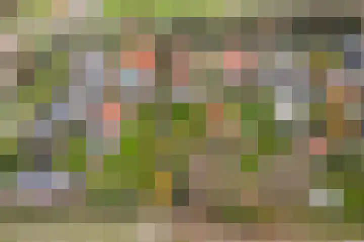 Laanweg 34 Oudkarspel thumbnail 41