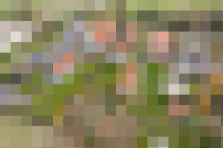 Laanweg 34 Oudkarspel thumbnail 42