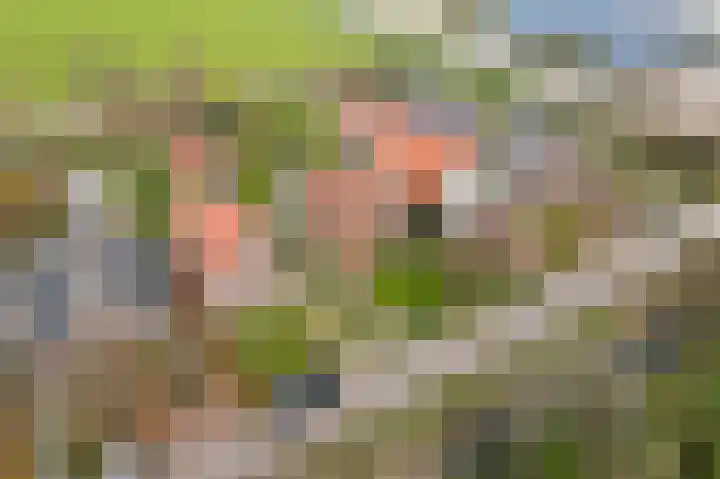 Laanweg 34 Oudkarspel thumbnail 43